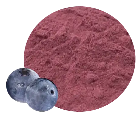 tinywow_ARANDANO-LIOFILIZADO_78361229 (1) arándano en polvo