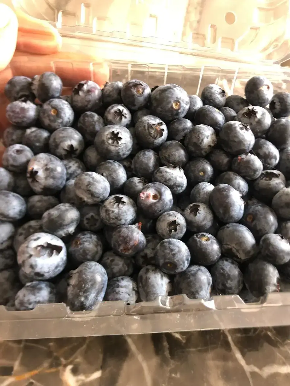 tinywow_arandanofresco2_78341505 (1) arándano fresco de mi finca