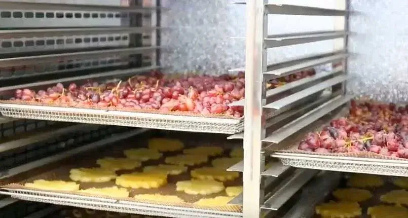 tinywow_deshidratador-de-aliemntos-industrial-_78964364 (1) maquina industrial deshidratadora