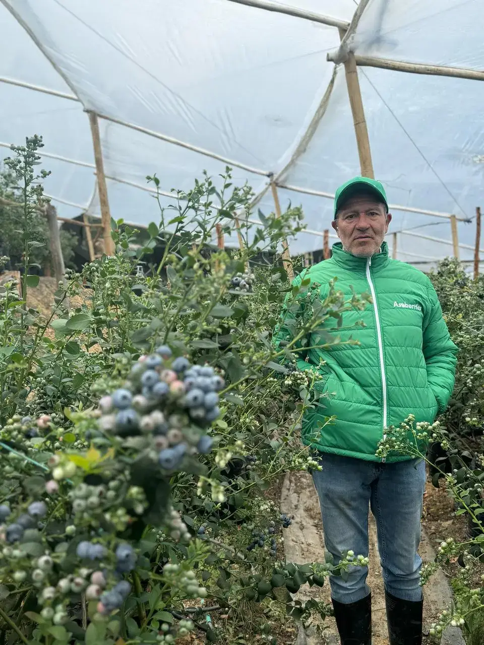 tinywow_juancho_78363422 (1) mi finca