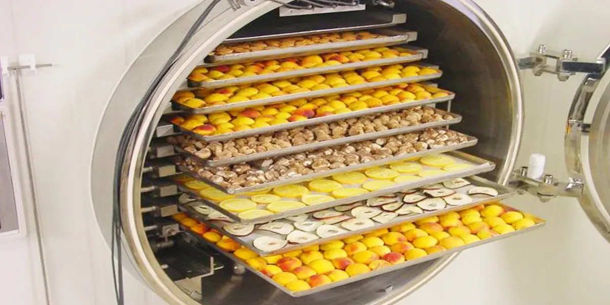 tinywow_liofilizacion_78840078 (1) maquina industrial liofilizado